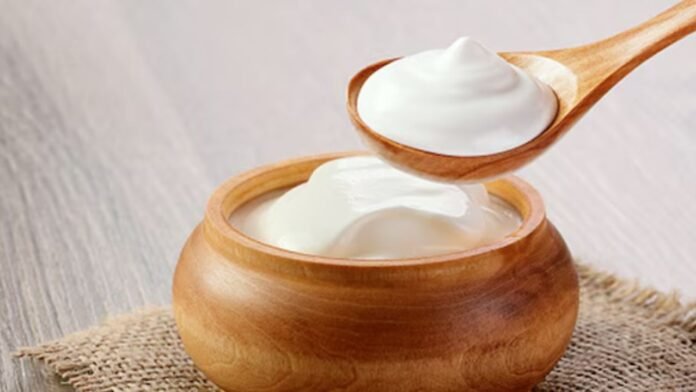हर दिन दही खाना पड़ सकता है भारी? जब फायदेमंद बैक्टीरिया भी बन जाते हैं नुकसानदायक