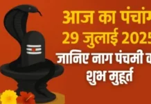 आज का पंचांग, 29 जुलाई 2025: सावन शुक्ल पक्ष की नाग पंचमी आज, जानें शुभ मुहूर्त और राहुकाल आज का पंचांग, 29 जुलाई 2025: सावन शुक्ल पक्ष की नाग पंचमी आज, जानें शुभ मुहूर्त और राहुकाल