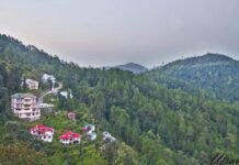 शिमला के पास बसा है चायल – कम भीड़, ज्यादा सुकून और कुदरत की गोद में एक शानदार हिल स्टेशन