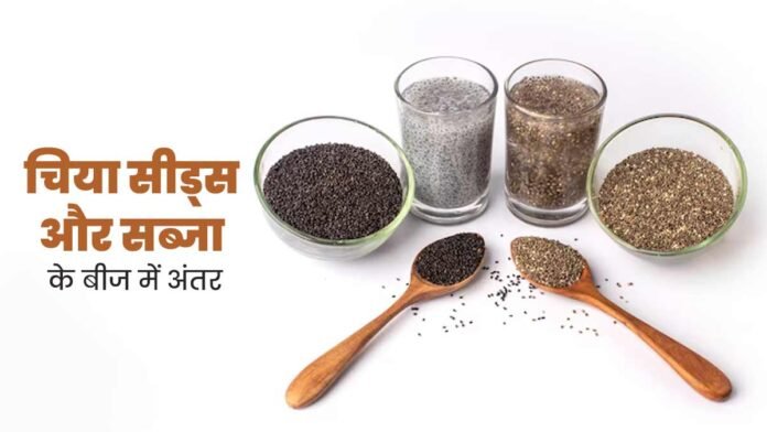 Chia-Seeds-Vs-Basil-Seeds-Main