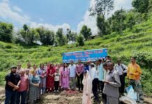 एचपी शिवा परियोजना के तहत धनियारा क्लस्टर में लीची पौधरोपण अभियान का शुभारंभ