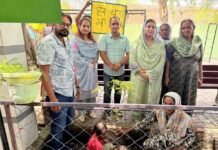 एक पेड़ माँ के नाम अभियान के तहत सरकारी प्राइमरी स्कूल दोना नानका में मैडम खुशबू सवना ने लगाए पौधे