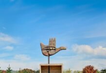 सांसद ने एक बार फिर मालिकाना हक और आवश्यकता आधारित बदलावों के मुद्दे पर उठाई आवाज