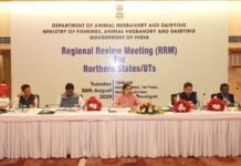 PUNJAB’S ANIMAL HUSBANDRY DEPT RECEIVES ACCOLADES FROM CENTRE FOR INNOVATIVE PRACTICES PUNJAB’S ANIMAL HUSBANDRY DEPT RECEIVES ACCOLADES FROM CENTRE FOR INNOVATIVE PRACTICES