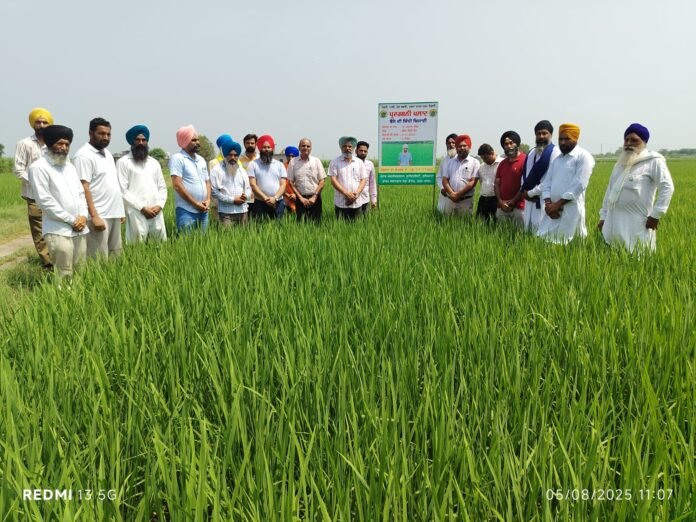 फार्म सलाहकार सेवा केंद्र, तरनतारन की ओर से गांव छीना बिधी चंद में आयोजित किया गया खेत दिवस