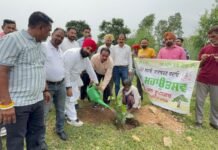 मानकपुर में 350वें शहीदी समागम पर पौधारोपण अभियान