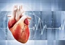 बाकी शरीर से तेज़ उम्र पकड़ रहा है दिल, पुरुषों में ज्यादा खतरा; ऐसे करें मुफ्त जांच बाकी शरीर से तेज़ उम्र पकड़ रहा है दिल, पुरुषों में ज्यादा खतरा; ऐसे करें मुफ्त जांच