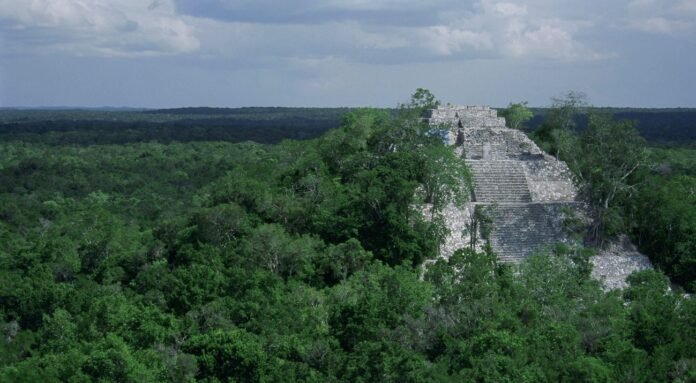 Mayan Forest: माया जंगल की रक्षा के लिए तीन देशों में समझौता, दुनिया के फेफड़े माने जाते हैं वर्षा वन