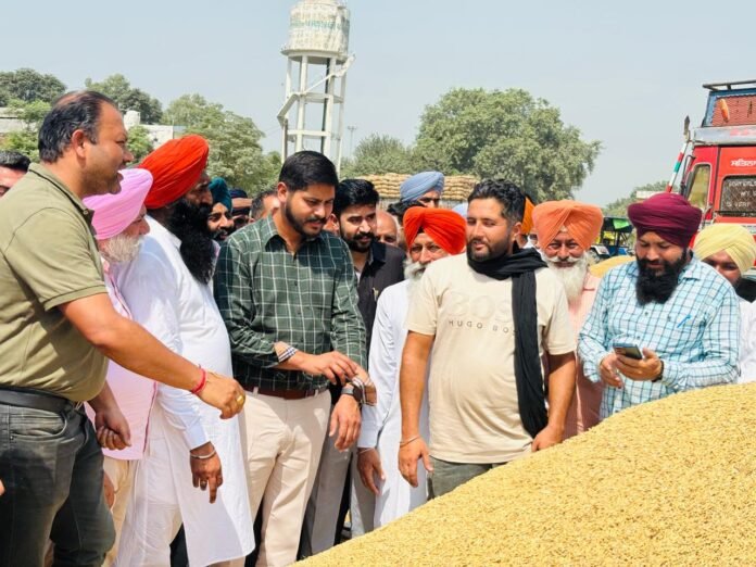 Dr Rinku Chawla appointed as District