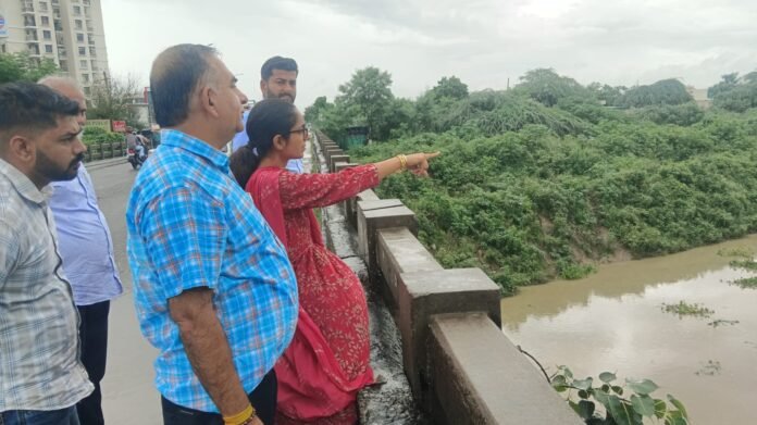 तिरिक्त डिप्टी कमिश्नर (शहरी विकास) नवरीत कौर सेखों ने आज बड़ी नदी का दौरा करके चल रहे सफाई कार्यों सहित नदी में पानी के स्तर का जायजा