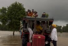Youth of Dharang Wala Village, Fazilka, Come Forward to Help Flood Victims – Provide Fodder for Cattle Due to heavy rainfall in the upper areas, several regions of Fazilka district are facing flood-like conditions