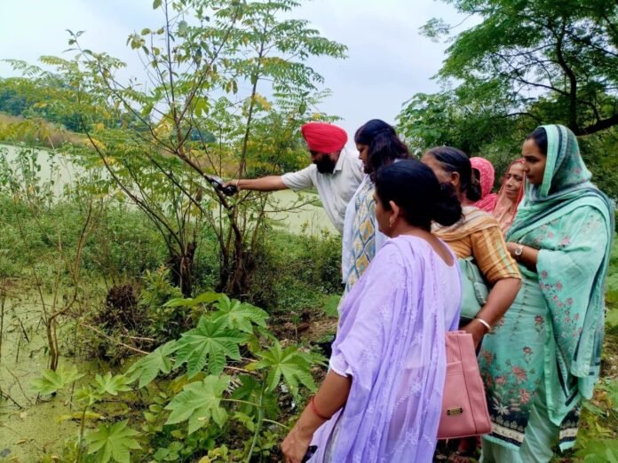 Health department is active to effectively