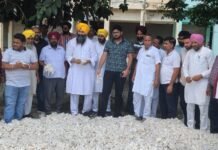 चेयरमैन गुरप्रीत सिंह भुच्चर ने नरमे की खरीद की शुरुआत की मार्केट कमेटी मानसा के चेयरमैन श्री गुरप्रीत सिंह भुच्चर ने नई अनाज मंडी मानसा से नरमे की खरीद की शुरुआत करवाई।