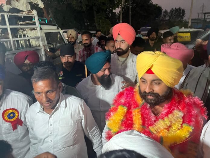 Invaluable contribution of the