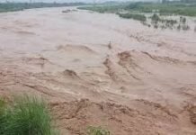 चंडीगढ़-पंचकूला-मोहाली में रेड अलर्ट: भारी बारिश से सड़कें जलमग्न, पेड़ गिरे, सुखना लेक के फ्लड गेट खोले गए चंडीगढ़-पंचकूला-मोहाली में रेड अलर्ट: भारी बारिश से सड़कें जलमग्न, पेड़ गिरे, सुखना लेक के फ्लड गेट खोले गए