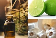 सिर की जूं और लीख से छुटकारा पाने के लिए अपनाएं ये घरेलू नुस्खे, एक ही बार में मिलेगा असरदार परिणाम सिर की जूं और लीख से छुटकारा पाने के लिए अपनाएं ये घरेलू नुस्खे, एक ही बार में मिलेगा असरदार परिणाम