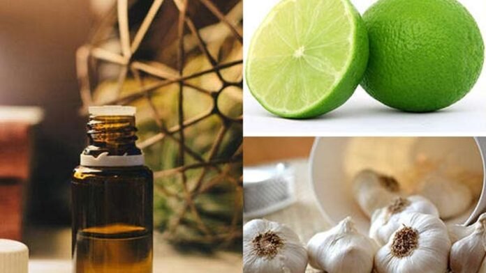 lice-1680080358 सिर की जूं और लीख से छुटकारा पाने के लिए अपनाएं ये घरेलू नुस्खे, एक ही बार में मिलेगा असरदार परिणाम