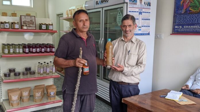 From Natural Farming to Self-