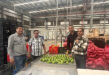 एचपी शिव परियोजना के अंतर्गत तैयार मौसम्बी की पहली खेप धर्मपुर क्लस्टर से पहुंची राजपुरा रिलायंस स्टोर, बागवानों को फसल का मिल रहा बेहतर मूल्य The first consignment of sweet lime