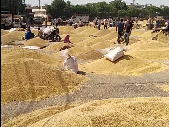 1f6259d5-e17d-42be-8e54-08a0e3db0679_1741587280359 पंजाब की मंडियों में ‘वजन घोटाला’, तराजू के खेल से किसानों को बनाया जा रहा निशाना