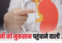 आपकी ये चार आदतें चुपचाप आपकी किडनी को पहुंचा रही हैं नुकसान, जानें कैसे करें बचाव आपकी ये चार आदतें चुपचाप आपकी किडनी को पहुंचा रही हैं नुकसान, जानें कैसे करें बचाव