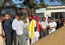 सांसद मालविंदर सिंह कंग ने किया हलका गढ़शंकर की मंडियों का दौरा आनंदपुर साहिब के सांसद मालविंदर सिंह कंग ने आज हलका गढ़शंकर की विभिन्न अनाज मंडियों का दौरा कर धान की खरीद का जायजा लिया। इस दौरान