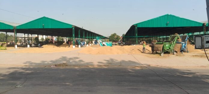 बर्नाला: मंडियों में पहुँचा