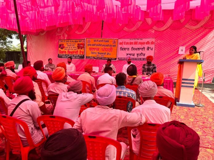 Agriculture Office Jhuner Organizes