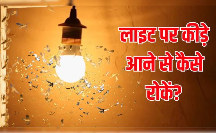factrecorder बल्ब के आसपास मंडराने वाले कीटों से हैं परेशान? अपनाएं ये आसान उपाय