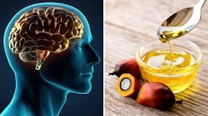 factrecorder डॉ. श्रद्धा के अनुसार, यह तेल दिमाग की सेहत के लिए फायदेमंद, बढ़ाता है सोचने और समझने की क्षमता