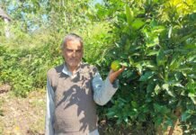 धर्मपुर के 41 किसानों की तकदीर बदली