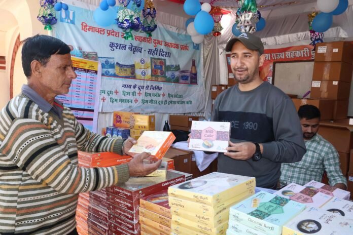 Milkfed's pure desi ghee sweets are