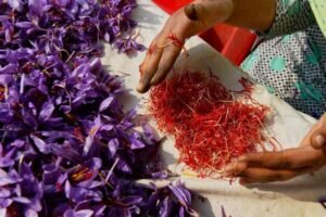 . केसर – सौंदर्य और मानसिक शांति का प्रतीक