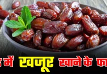 Winter Superfood: सर्दियों में सेहत बनाए रखने के लिए अपनी डाइट में शामिल करें खजूर के ये 5 तरीके Winter Superfood: सर्दियों में सेहत बनाए रखने के लिए अपनी डाइट में शामिल करें खजूर के ये 5 तरीके