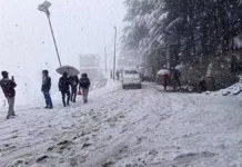 हिमाचल में ठंड से मिलेगी राहत: मौसम विभाग ने अगले हफ्ते साफ मौसम का किया अनुमान हिमाचल में ठंड से मिलेगी राहत: मौसम विभाग ने अगले हफ्ते साफ मौसम का किया अनुमान