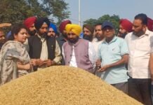 बाढ़ के बावजूद, राज्य की मंडियों में बेहतर बुनियादी ढांचे की बदौलत धान की आमद और खरीद 150 लाख मीट्रिक टन के पार बाढ़ के बावजूद, राज्य की मंडियों में बेहतर बुनियादी ढांचे की बदौलत धान की आमद और खरीद 150 लाख मीट्रिक टन के पार