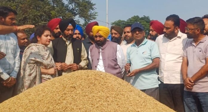 factrecorder बाढ़ के बावजूद, राज्य की मंडियों में बेहतर बुनियादी ढांचे की बदौलत धान की आमद और खरीद 150 लाख मीट्रिक टन के पार