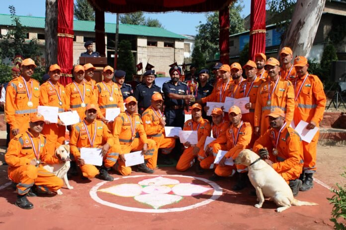 https://factrecorder.com/14th-battalion-ndrf-nurpur-tops-cssr-competition/ https://factrecorder.com/14th-battalion-ndrf-nurpur-tops-cssr-competition/