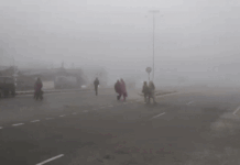 हरियाणा में सर्दी का बढ़ता असर: गुरुग्राम सबसे ठंडा, IMD ने पंचकूला, अंबाला और यमुनानगर में बारिश का अलर्ट जारी हरियाणा में सर्दी का बढ़ता असर: गुरुग्राम सबसे ठंडा, IMD ने पंचकूला, अंबाला और यमुनानगर में बारिश का अलर्ट जारी