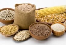 दुनिया में किसानों का कमाल: अनाज उत्पादन बनेगा अब तक का रिकॉर्ड, वैश्विक खाद्य संकट से मिलेगी राहत दुनिया में किसानों का कमाल: अनाज उत्पादन बनेगा अब तक का रिकॉर्ड, वैश्विक खाद्य संकट से मिलेगी राहत