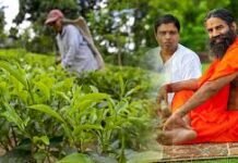 पतंजलि किसान समृद्धि कार्यक्रम: कैसे बदल रहा है भारत की ग्रामीण अर्थव्यवस्था का चेहरा पतंजलि किसान समृद्धि कार्यक्रम: कैसे बदल रहा है भारत की ग्रामीण अर्थव्यवस्था का चेहरा