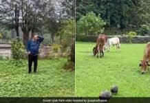 खेती, देसी खाना और फिटनेस—धर्मेंद्र का बेहद सादा और देसी लाइफस्टाइल खेती करना, देसी चीजें खाना…दिग्गज अभिनेता धर्मेंद्र का कुछ ऐसा था लाइफस्टाइल