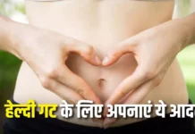 गट हेल्थ बनेगी स्ट्रॉन्ग, पेट की चर्बी घटेगी-सर्दियों में खाएं विटामिन और फाइबर से भरपूर शकरकंद गट हेल्थ बनेगी स्ट्रॉन्ग, पेट की