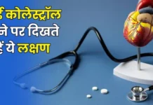Health Alert: सीने में हल्का दर्द और ये चार संकेत हाई कोलेस्ट्रॉल का खतरा बता सकते हैं Health Alert: सीने में हल्का दर्द और ये चार संकेत हाई कोलेस्ट्रॉल का खतरा बता सकते हैं