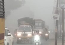 यूपी में घना कोहरा बना काल, 5 जिलों में 21 वाहनों की भीषण टक्कर, 8 की मौ/त, 14 से ज्यादा घायल यूपी में घना कोहरा बना काल, 5 जिलों में 21 वाहनों की भीषण टक्कर, 8 की मौ/त, 14 से ज्यादा घायल