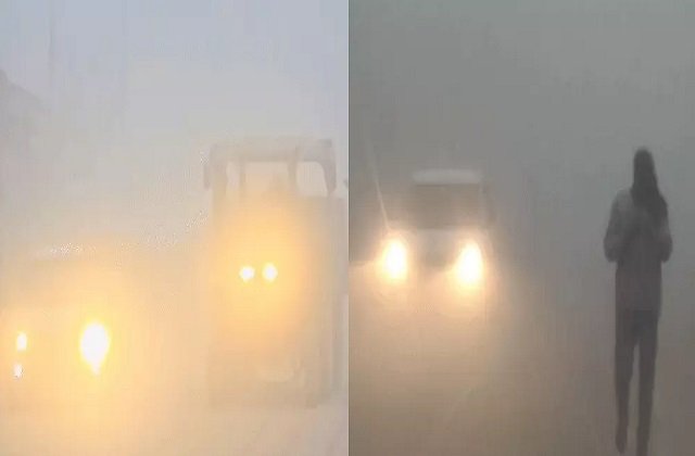 factrecorder हरियाणा के 15 जिलों में घने कोहरे का अलर्ट, 10 मीटर तक सिमटी विजिबिलिटी; 18 दिसंबर से बदलेगा मौसम का मिजाज