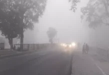 दिल्ली में शीतलहर और कोहरे का कहर, तापमान 5 डिग्री तक गिरा—आज कैसा रहेगा मौसम? दिल्ली में शीतलहर और कोहरे का कहर, तापमान 5 डिग्री तक गिरा—आज कैसा रहेगा मौसम?