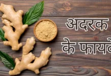 सुपरस्टार अदरक: सर्दियों में सेहत का असली पहरेदार, अनगिनत फायदे और आयुर्वेदिक महत्व सुपरस्टार अदरक: सर्दियों में सेहत का असली पहरेदार, अनगिनत फायदे और आयुर्वेदिक महत्व