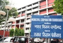 चंडीगढ़ में अतिक्रमण कार्रवाई: निगम टीम से झड़प, एक कर्मचारी घायल