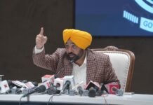 1920 में जो शेरों की कौम वाली अकाली को डायनासोर बना दिया गया है- भगवंत मान